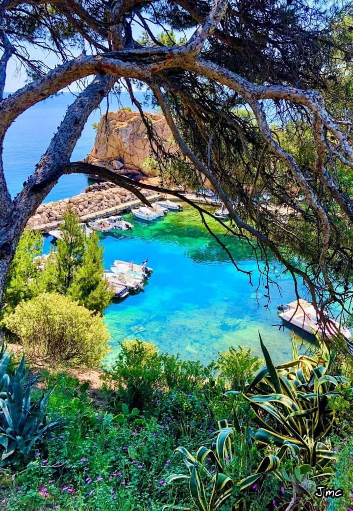 Villa Calanques Ensues-la-Redonne Room photo